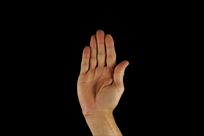 Sign Language
